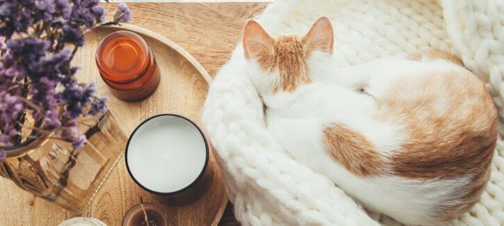 Come preparare la tua casa all'autunno: consigli salva stagione