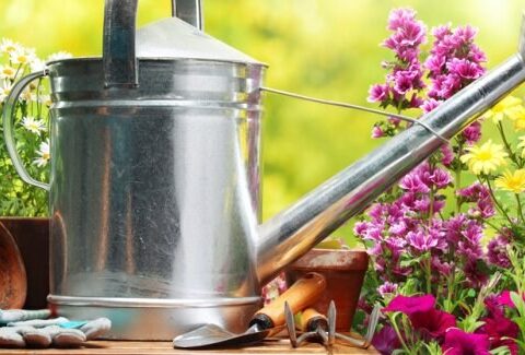 Come realizzare un piccolo orto in casa