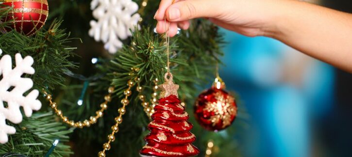 Come scegliere l'albero di Natale giusto