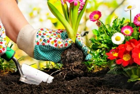 Come sistemare il giardino: una piccola oasi di relax per l'esterno