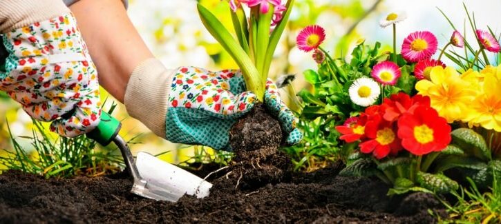 Come sistemare il giardino: una piccola oasi di relax per l'esterno