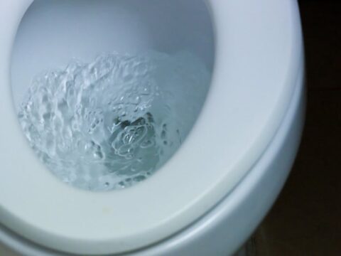 Come sturare il WC intasato