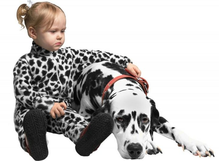 Come travestirsi e truccarsi da cane dalmata