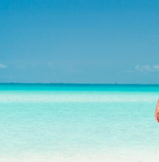 Come usare gli assorbenti interni al mare