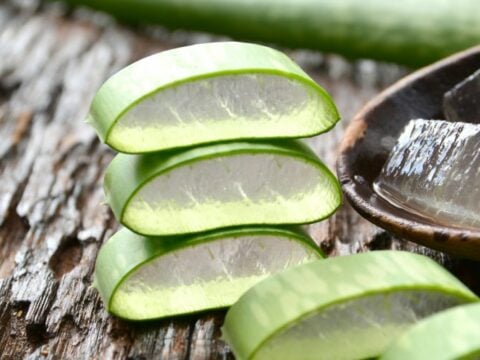 Come usare l'aloe per le scottature solari, benefici e metodi di utilizzo