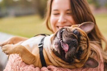 Comportamenti da evitare con un cane