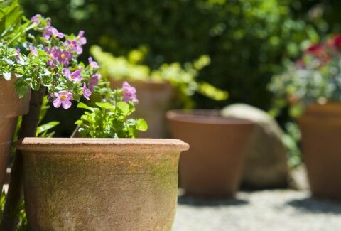 Consigli per scegliere il vaso da fiori per esterni