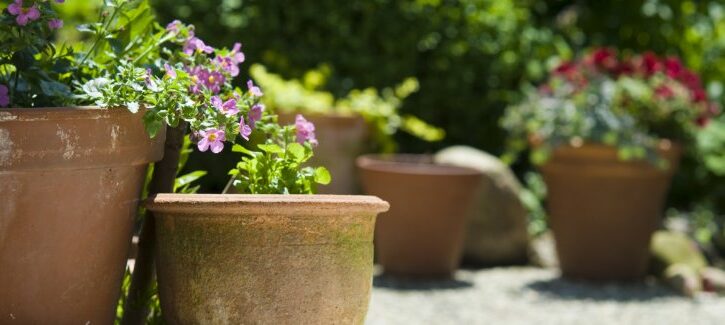 Consigli per scegliere il vaso da fiori per esterni