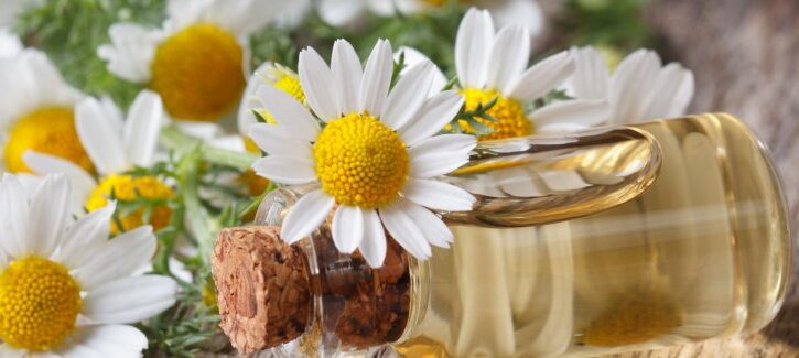 Come usare gli oli essenziali su viso, capelli e per profumare casa