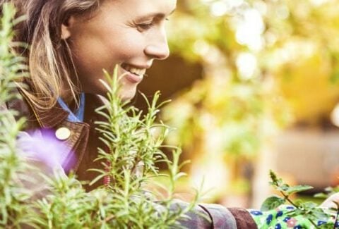 Da giardino a orto: ecco come fare