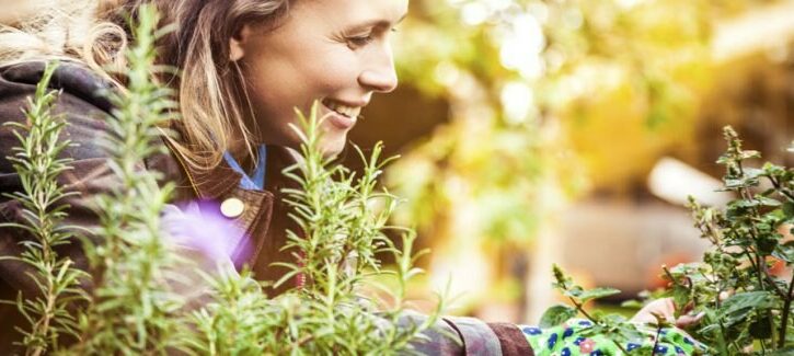 Da giardino a orto: ecco come fare