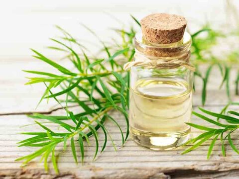 Come usare l’olio di tea tree per le verruche