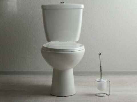 Come sbiancare il copriwater