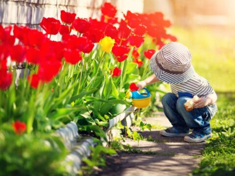 Decorare il giardino: idee per la primavera