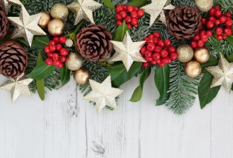 Decorazioni con le piante di Natale: addobbi fai da te con vischio, pungitopo e agrifoglio