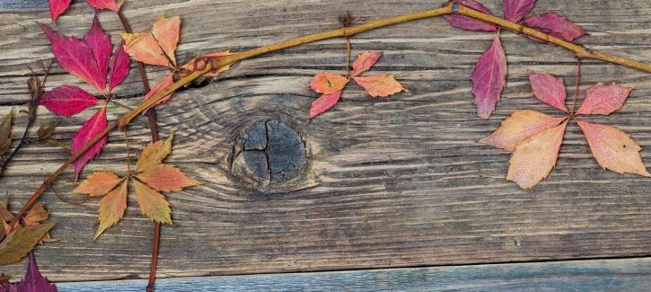 Decoupage con foglie vere: idee per il fai da te autunnale