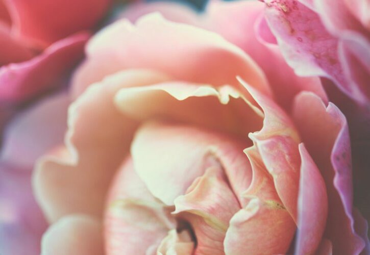 È total pink, la primavera firmata Lancôme: scopri tutta la nuova collezione