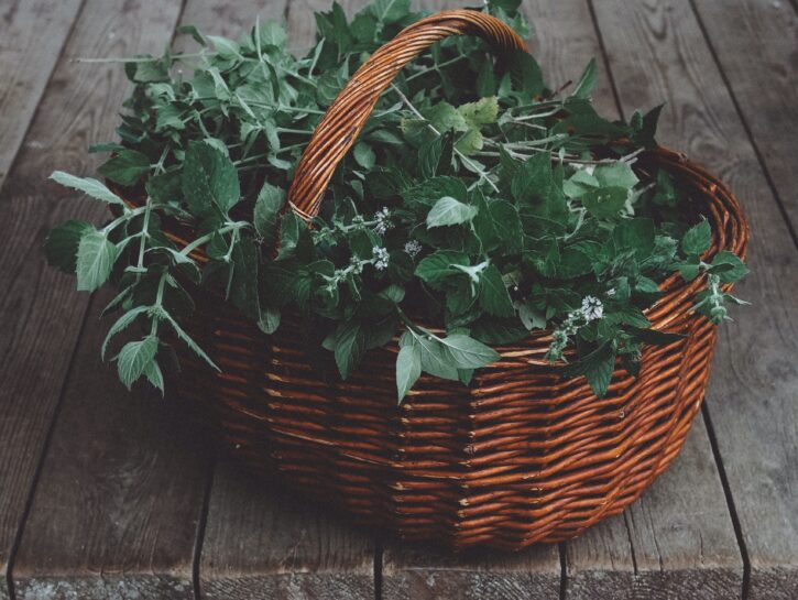 Arredare con le erbe aromatiche