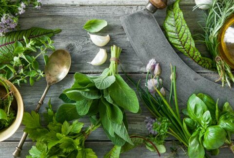 Erbe per dimagrire: le piante aromatiche per perdere peso