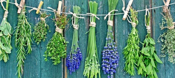 Fiori secchi: come essiccarli, cosa creare