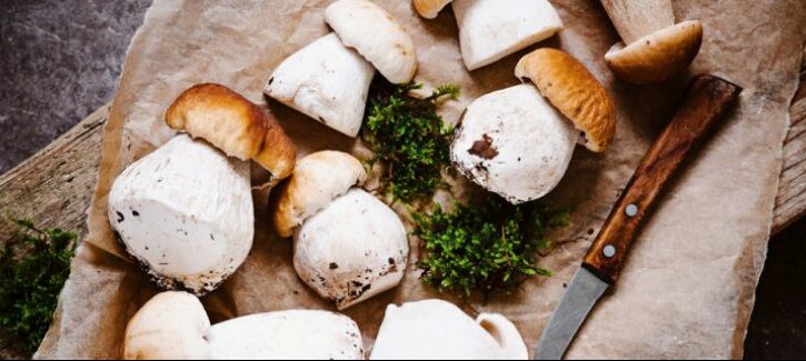 Funghi a tavola in sicurezza, le dieci regole