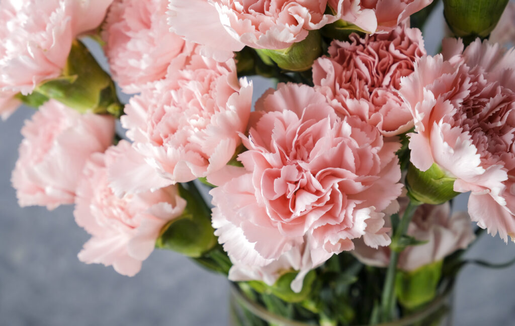 I fiori per colorare il mese di maggio sono questi