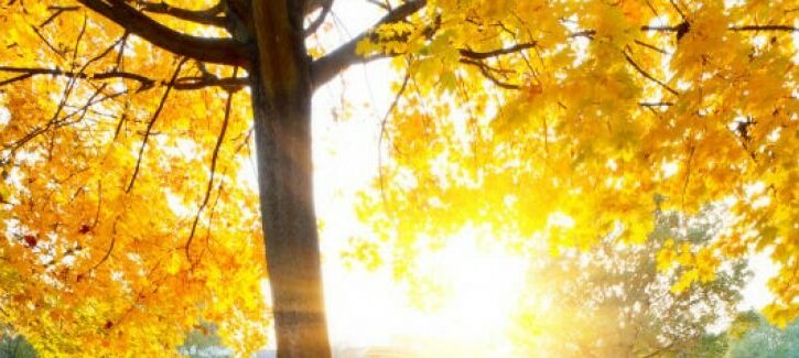 I buoni propositi per l'autunno