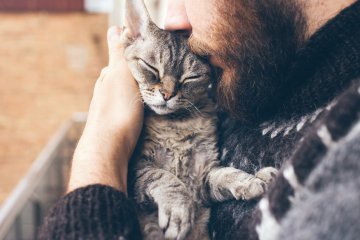 I gatti influenzati dal carattere del padrone