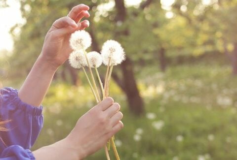 I rimedi naturali per le allergie primaverili