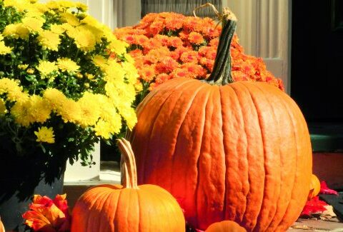 I tuoi rituali di bellezza a base di... zucca!