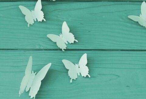 Idee per decorazioni creative con le farfalle