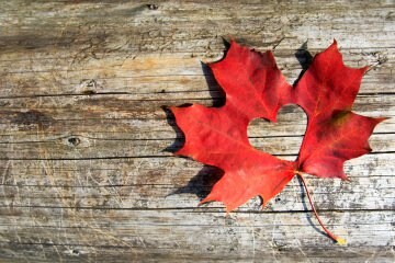 Come fare decorazioni con le foglie secche per l'autunno