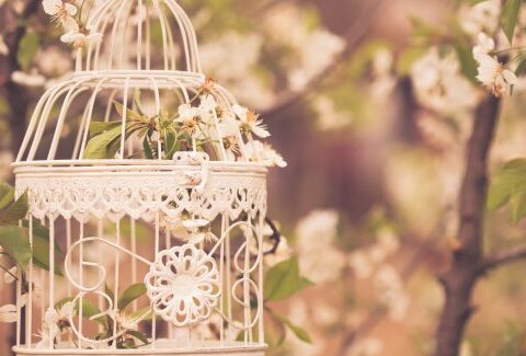 Il tuo giardino shabby chic!