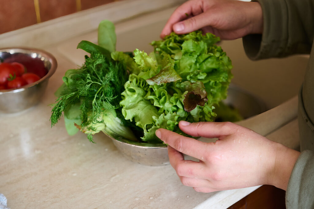 Coltivare l'insalata e i germogli in barattolo: ecco come fare