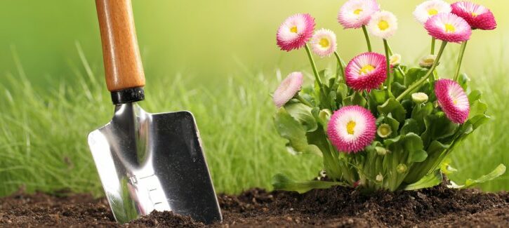 L'erba del vicino non è più la migliore! L'aiuola perfetta a casa tua