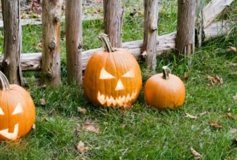 La vera storia di Halloween