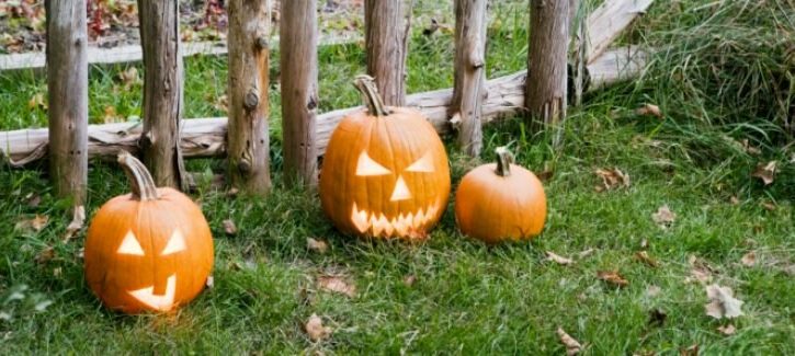 La vera storia di Halloween