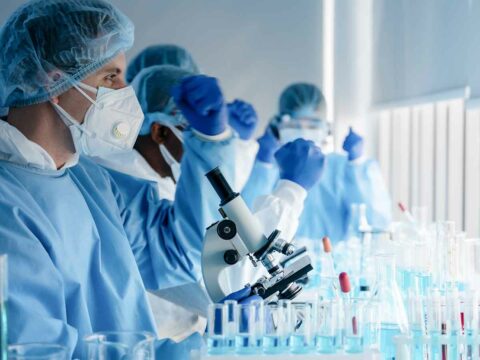 Candida auris, cos’è l’infezione da fungo che preoccupa
