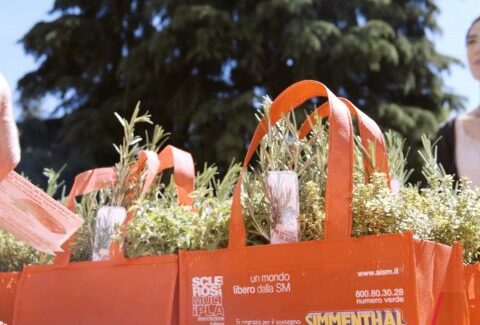 Le erbe aromatiche di AISM, in piazza per sostenere la ricerca