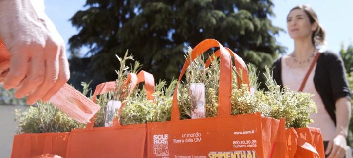 Le erbe aromatiche di AISM, in piazza per sostenere la ricerca