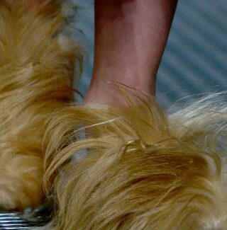 Le scarpe di Gucci per l'AI 2015 2016. O delle donne in abito da sera e pantofole