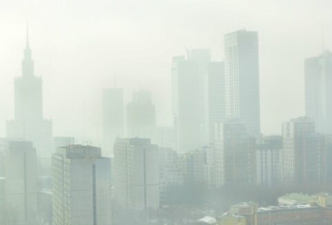 Lo smog fa male anche al cervello