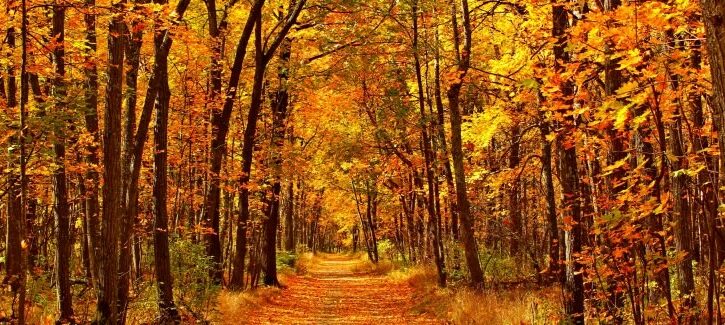Mal d'autunno per 1 italiano su 3, in agguato ansia e malumore