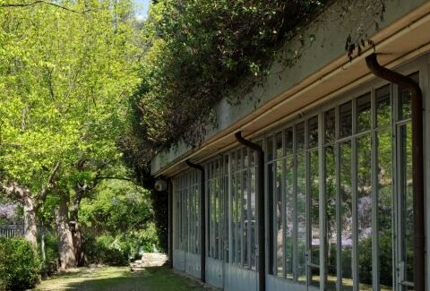 Nello studio di Pietro Porcinai a San Domenico di Fiesole dove è nato il Garden Design