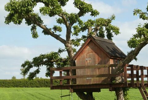 Nuove tendenze: la casa sull’albero