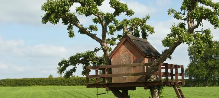 Nuove tendenze: la casa sull’albero