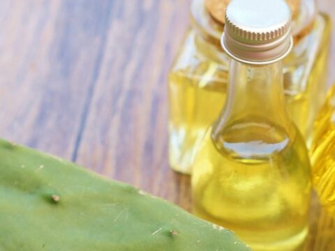 Olio di cactus per la pelle, ecco come usarlo e le sue proprietà