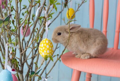 Party di Pasqua, tante idee per organizzarlo