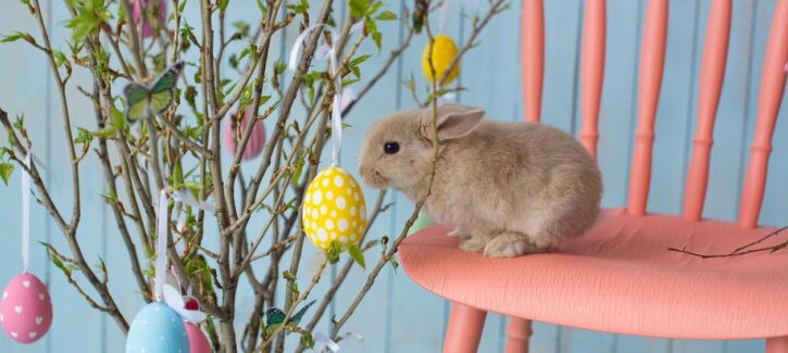 Party di Pasqua, tante idee per organizzarlo