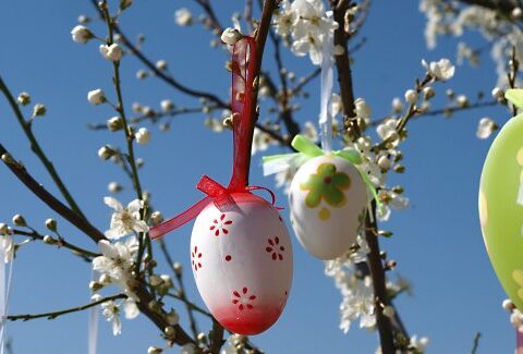 Come fare l'albero di Pasqua per decorare casa